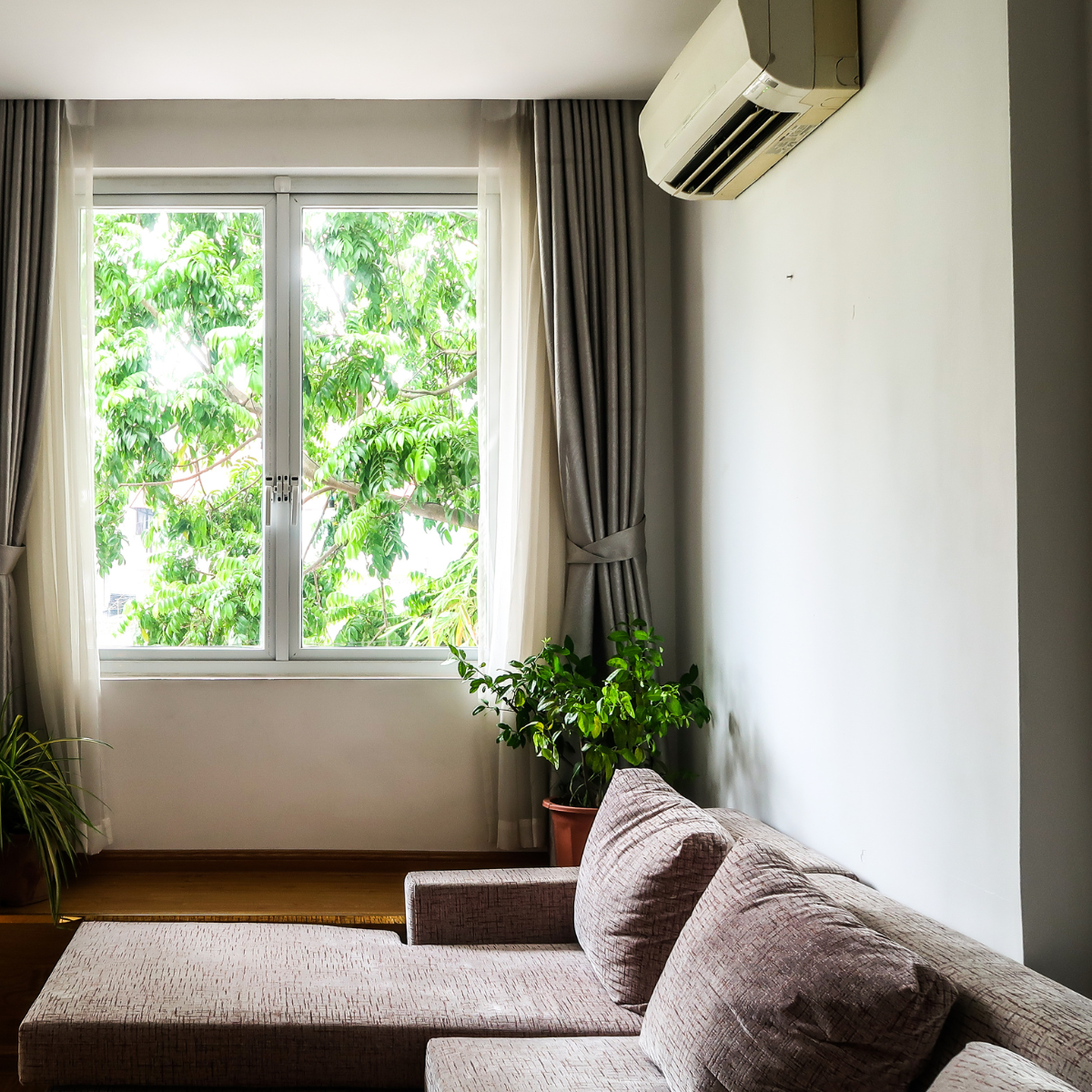 How to Detox from Mould and Mycotoxins: A Three Step Plan That Starts With the Source
