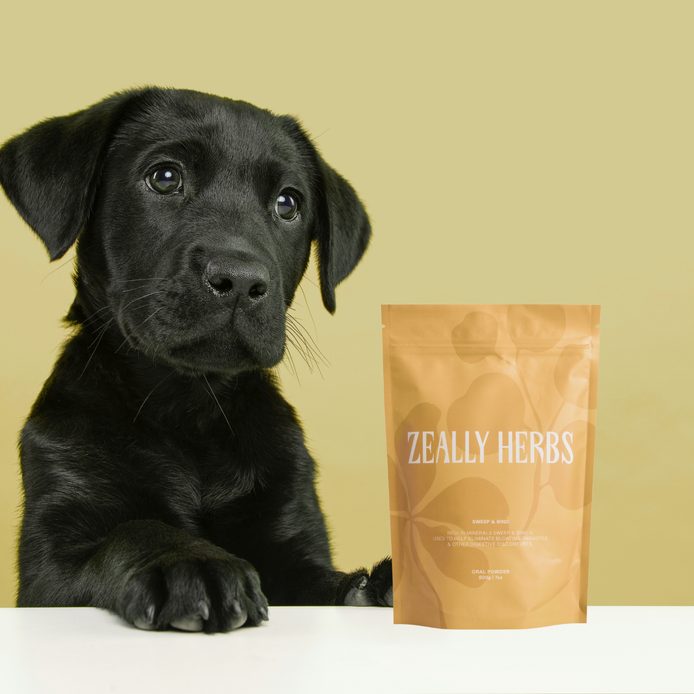 Diatomaceous Earth for our Pets