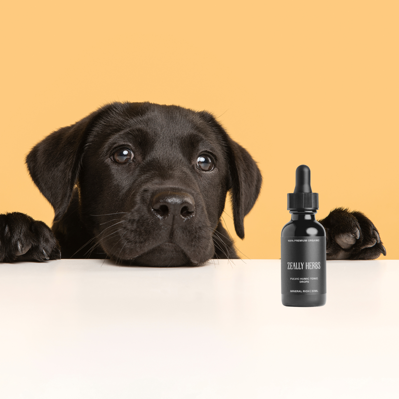 Fulvic Humic Acid for Pets