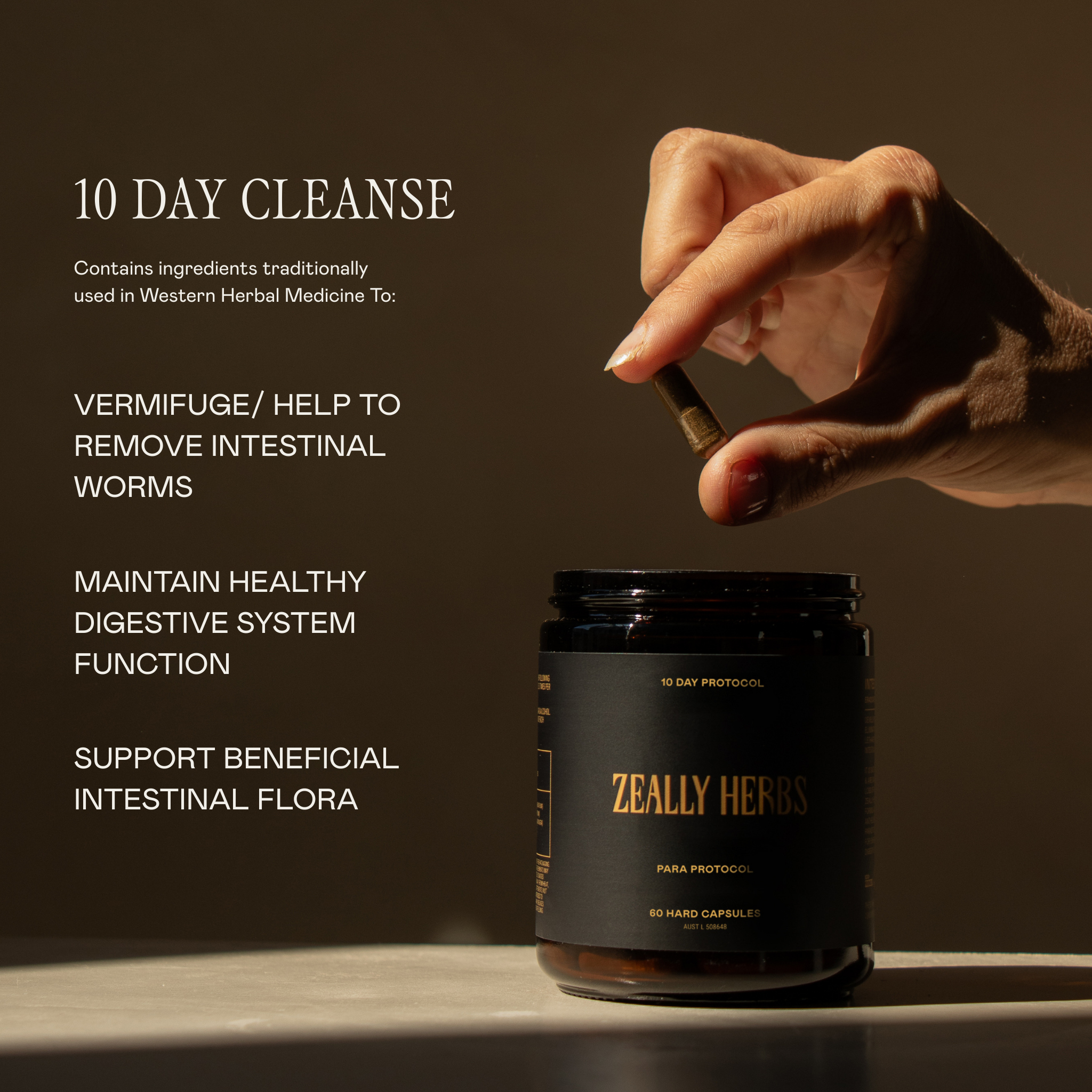 What is the 10 Day Parasite & Heavy Metal Cleanse indicated for