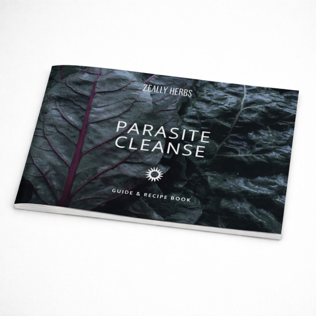 The Cleanse Guide & Recipe Book (Hardcopy)
