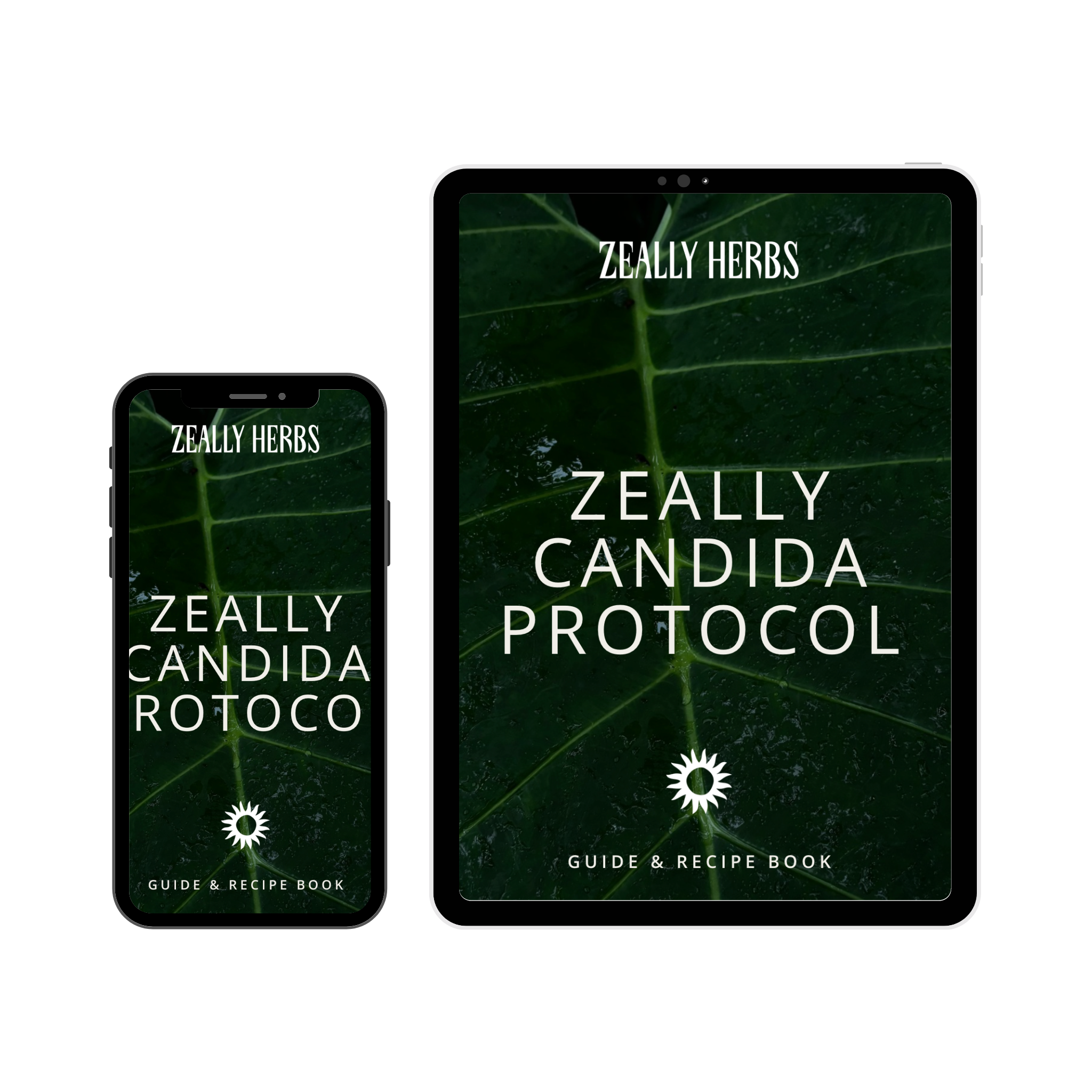 The Candida Protocol Guide | eBook
