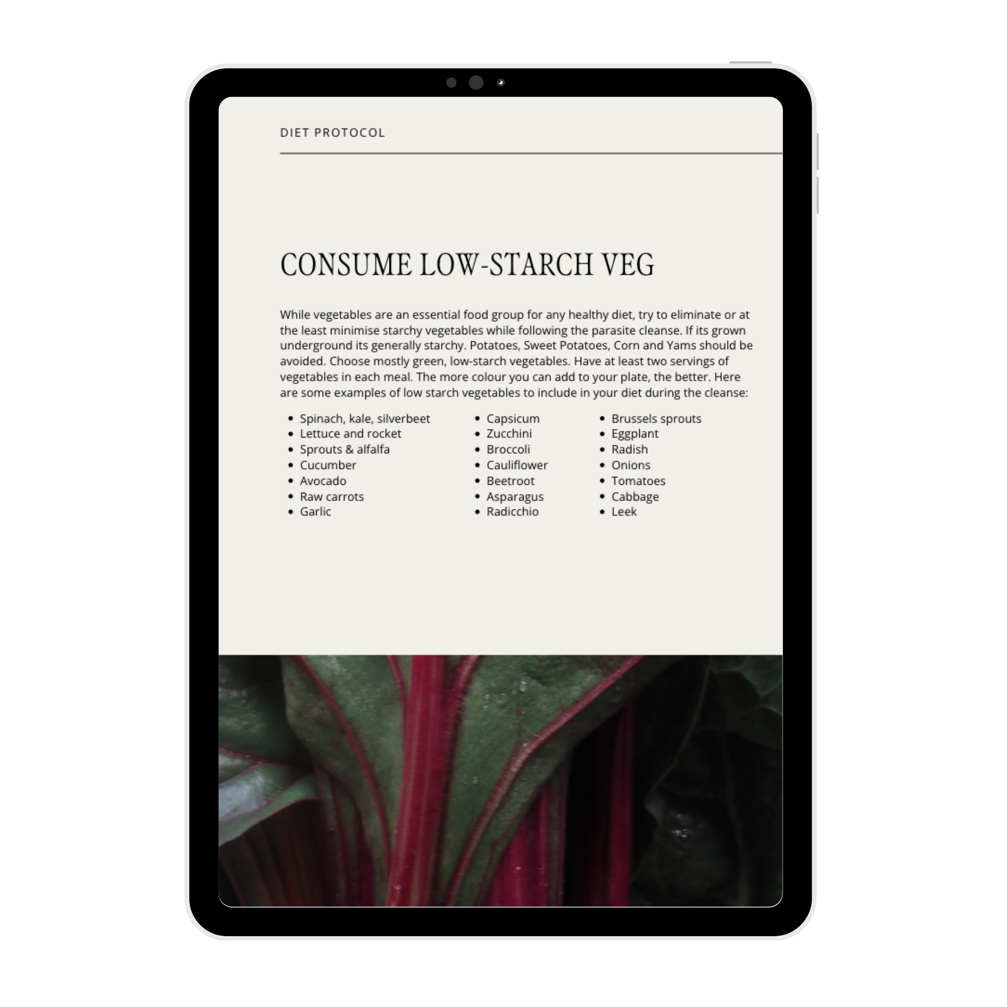 The Cleanse Guide & Recipe E-Book