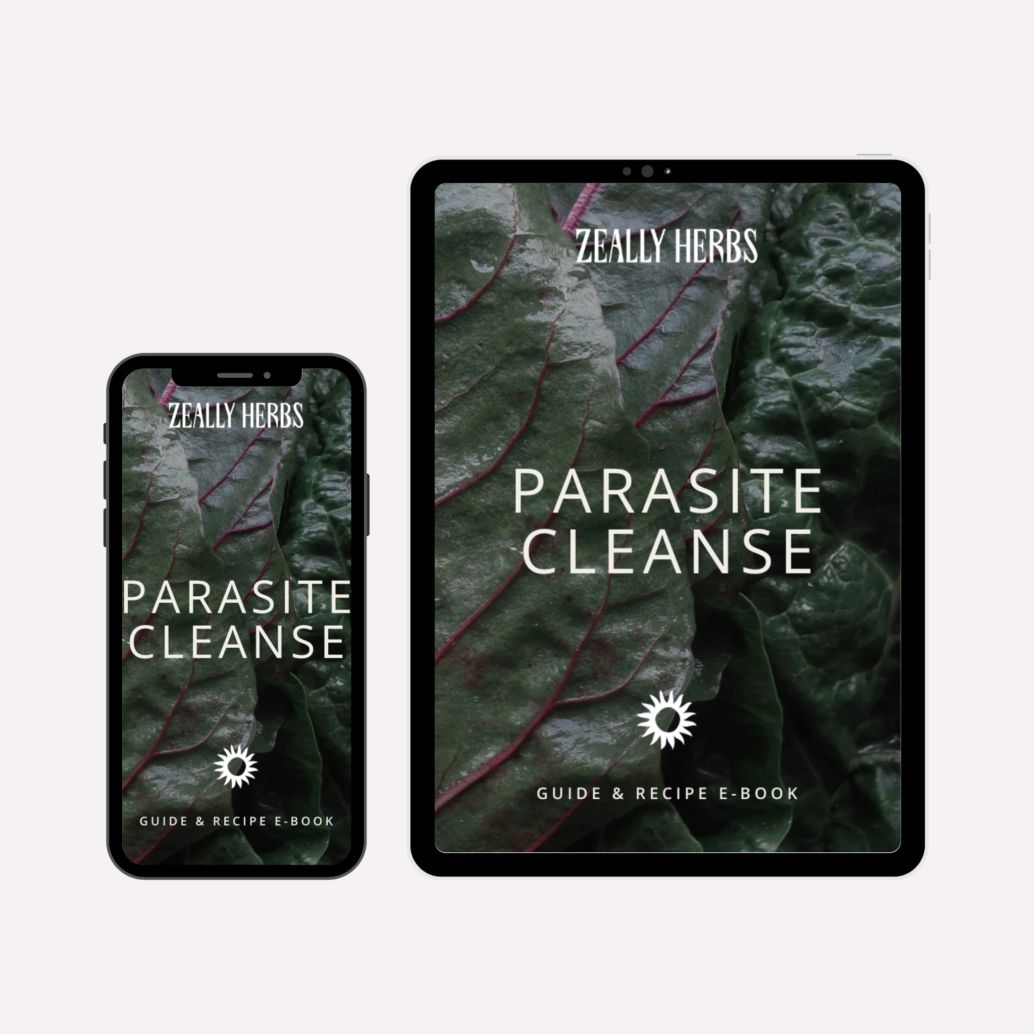 The Cleanse Guide & Recipe E-Book