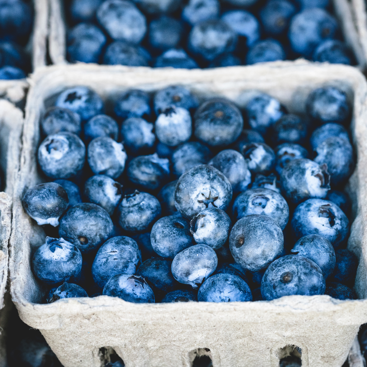 Why Fibre Is Essential During a Parasite Cleanse
