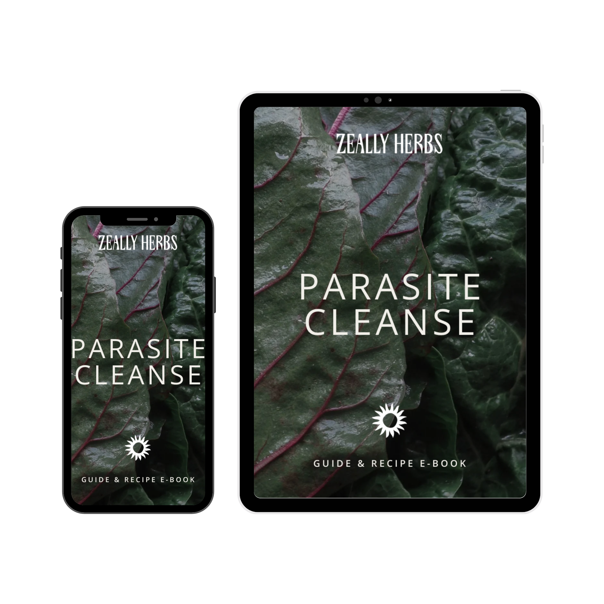 Parasite & Heavy Metal Cleanse Duo